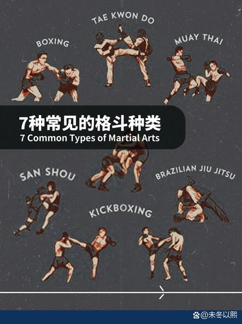 dnf格斗家转什么好、dnf格斗家找谁转职-第5张图片-南方游戏