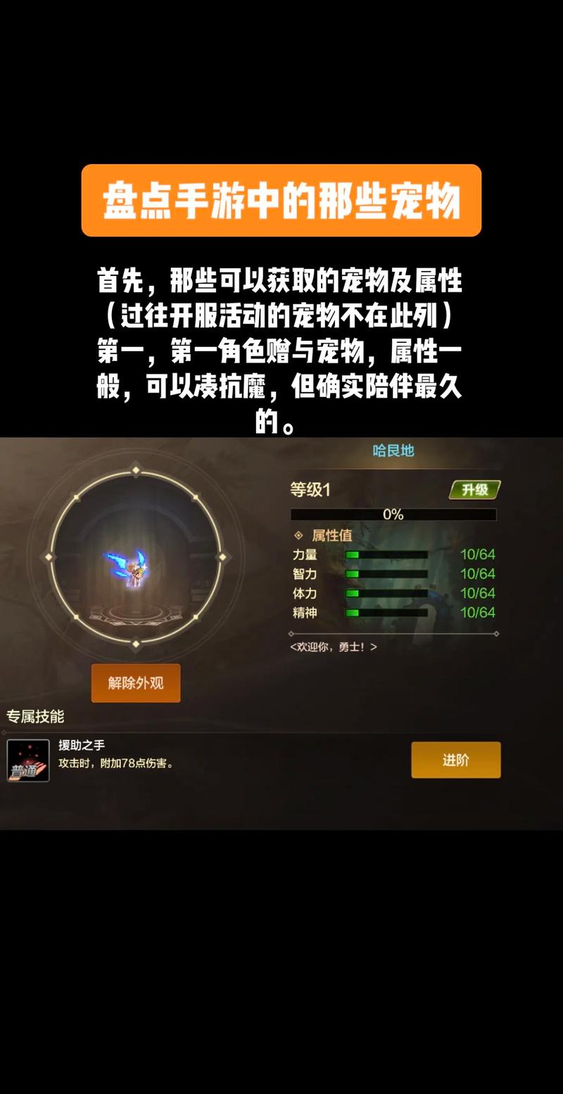 dnf迷你宠物？dnf宠物迷你黑暗武士图片-第2张图片-南方游戏