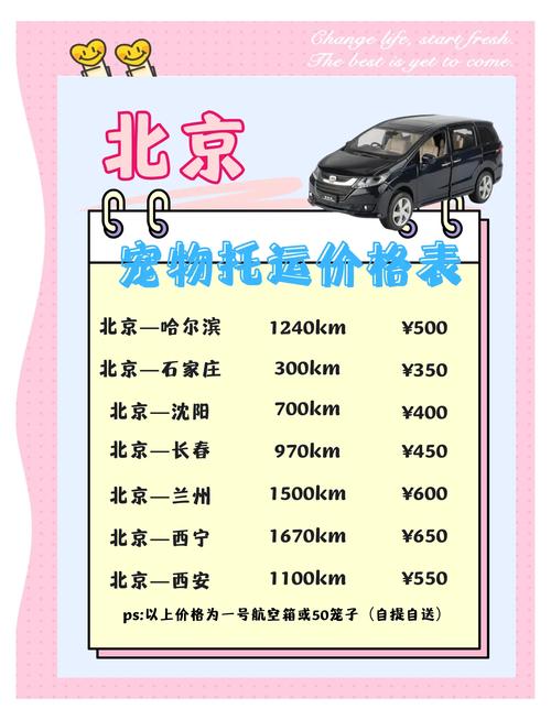 dnf2013春节宠物？dnf18年春节宠物-第2张图片-南方游戏