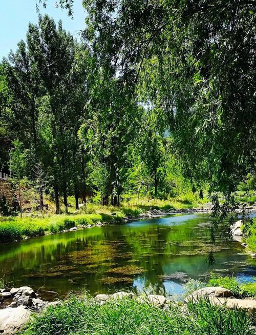 悟空影院神马影院、悟空电影网2021-第2张图片-南方游戏