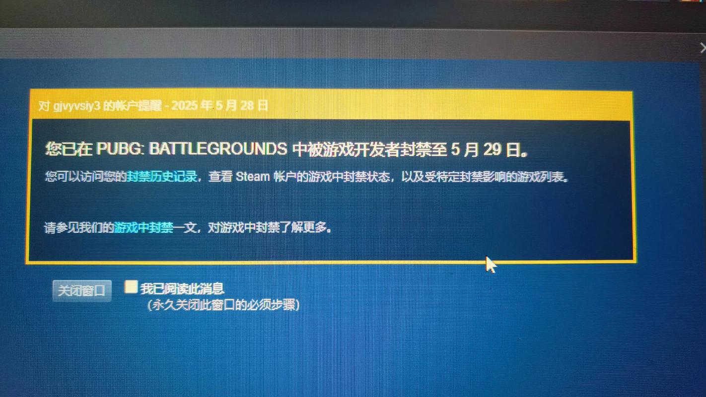 王者世界私服/王者荣耀世界服-第4张图片-南方游戏